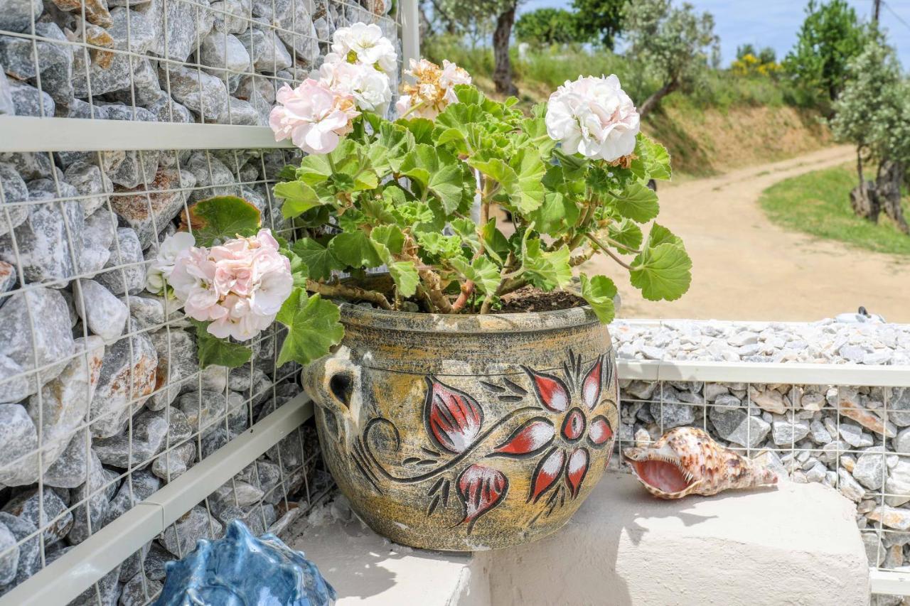 Casa Rozana - Skiathos Экстерьер фото